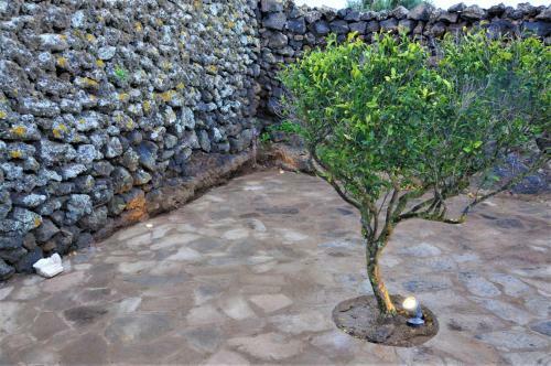 Bed & Breakfast Horizon Pantelleria