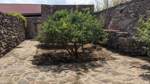 Bed & Breakfast Horizon Pantelleria