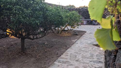 Bed & Breakfast Horizon Pantelleria