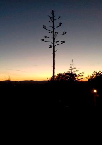 Bed & Breakfast Agrifoglio