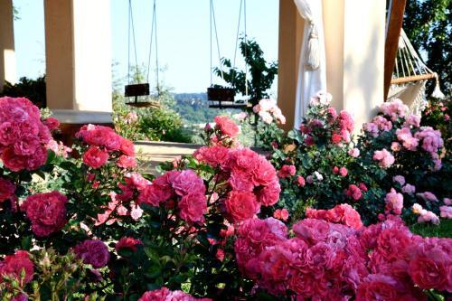 Bed & Breakfast Agrifoglio