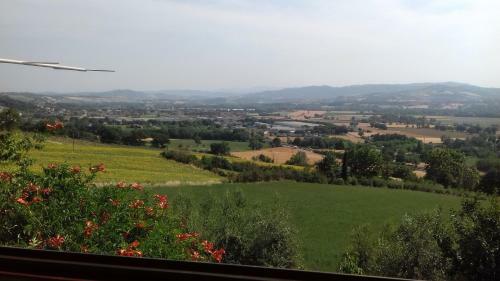Bed & Breakfast Agrifoglio