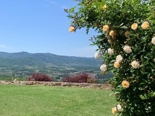 Spacious Holiday Home In Pergine Valdarno With Swimming Pool