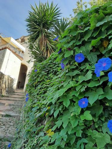 Apartamento La Casina Ligure
