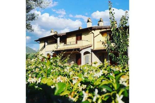 Monica Apartments - Assisi