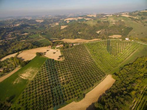 Apartamento Agriturismo Serena -petritoli-