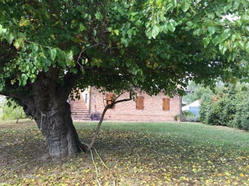 Apartamento Agriturismo Serena -petritoli-