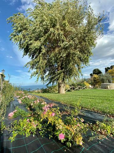 Residenza B&B Vistamare