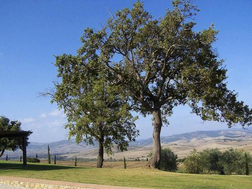 Pienza Villa Sleeps 14 With Pool And Air Con