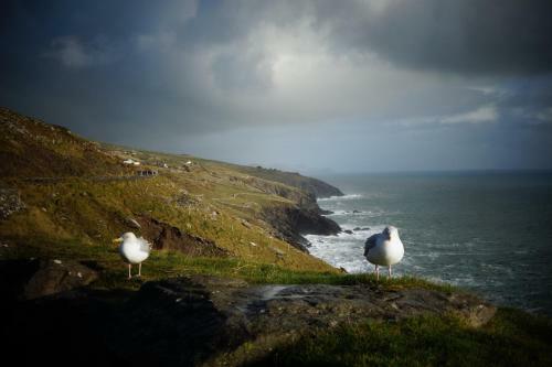 Hostal Keanes Of Curraheen