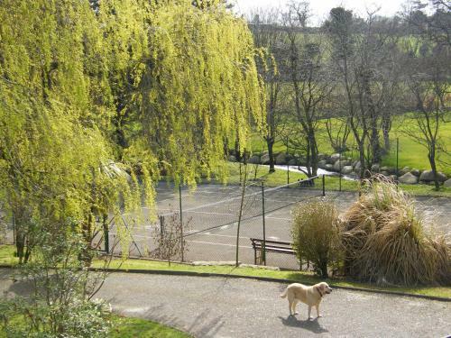 Bed & Breakfast Riverfield Farmhouse
