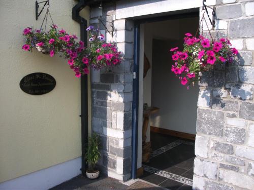 Hostal Clare Street B&B