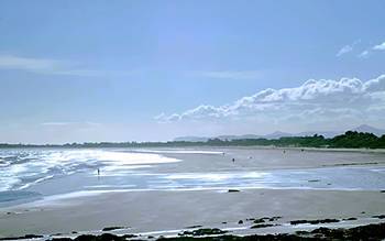 White Sands Hotel