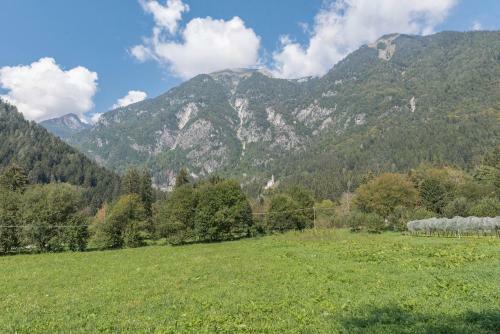 Apartamento Appartamento Adamello 13