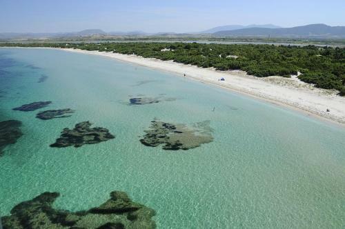 Sa Domu Sarda - Two Bedroom Apartment