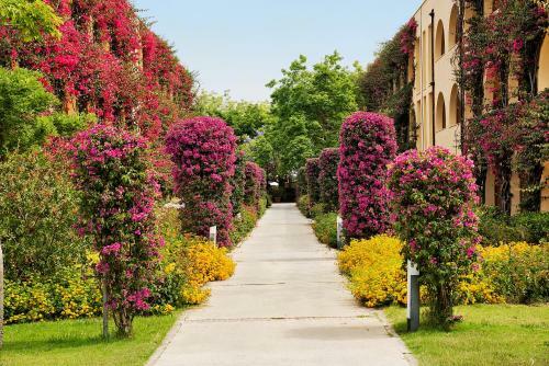 Hotel Tui Magic Life Calabria Private Lodge