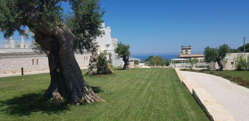 San Lorenzo Boutique Hotel & Spa
