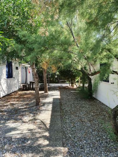 Village Camping Aquarius