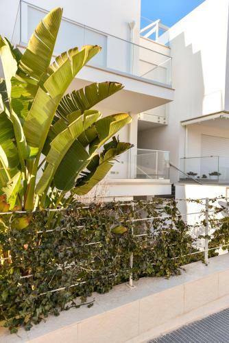 Apartamento Dimora Renna
