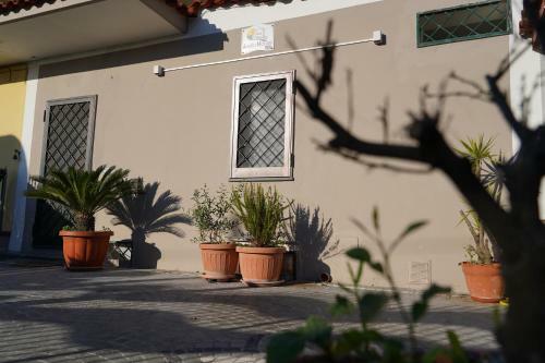 Aiello House