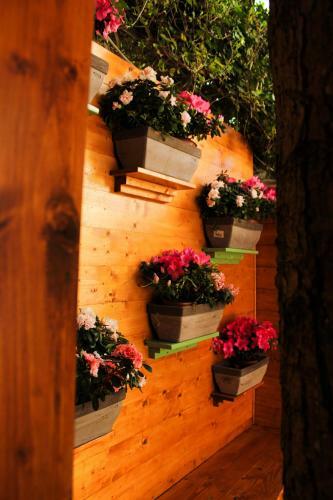 Bed & Breakfast La Casa Di Nonno Giulio