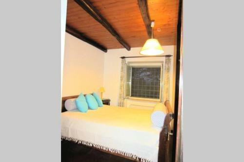 La Casa Del Mandorlo - Holiday Cottage