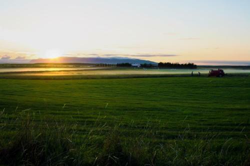 Hostal Vatnsholt Bed & Breakfast