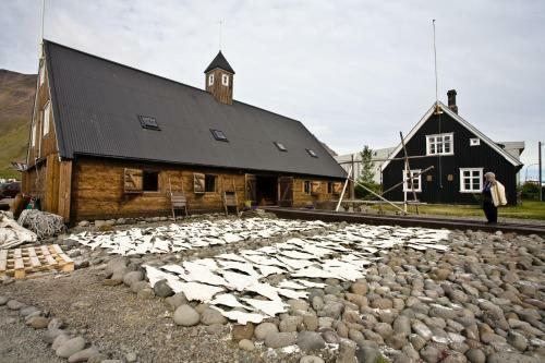 Hotel Horn