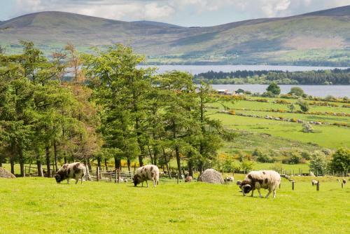 Abhainn Ri Self Catering Cottages