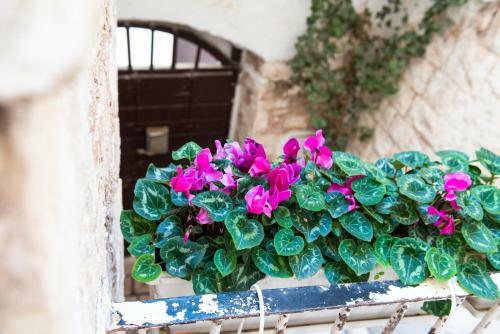 Hotel Petrantiche - Albergo Diffuso
