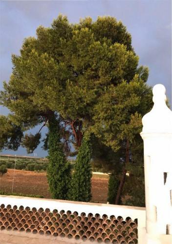 Bed & Breakfast Antica Casina