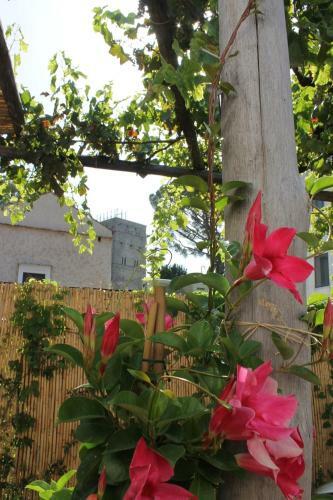 Hostal Gelsomino Rooms Ravello