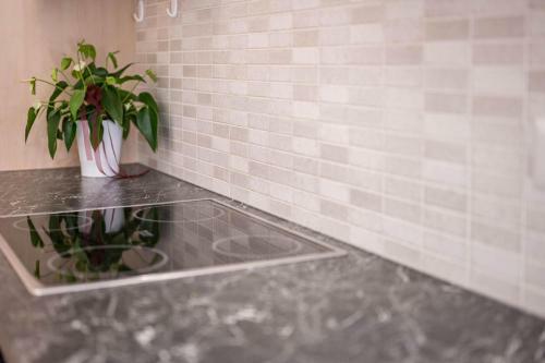 Apartment Sonnenblume Sch�nblick
