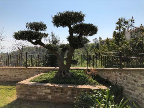 Apartamento L'ulivo Nel Borgo B&B