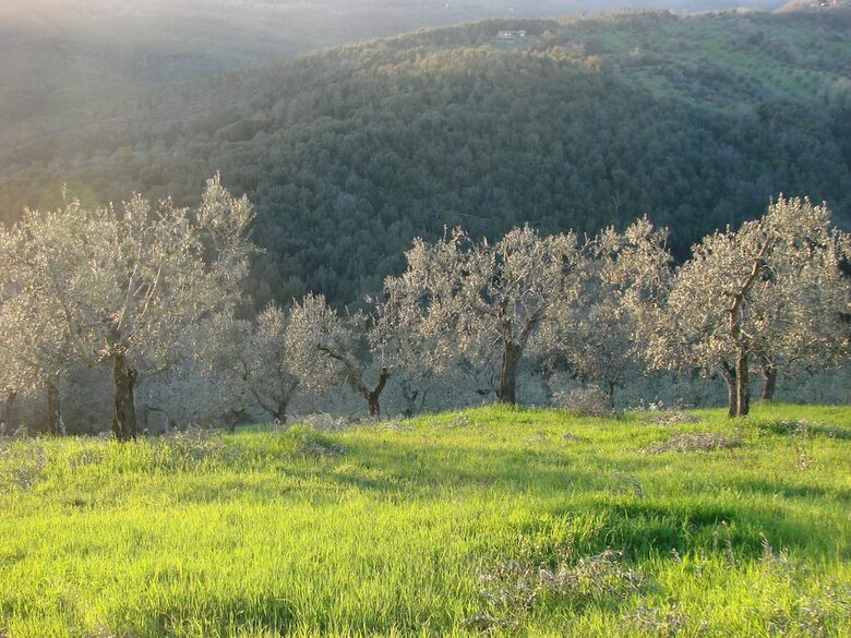 Agroturismo Agriturismo Pereti