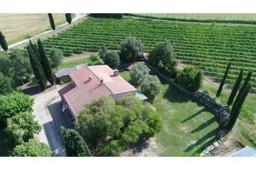 Villa Tenuta Di Litiano