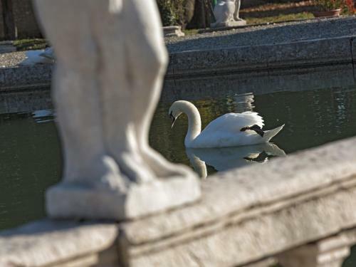 Bed & Breakfast Villa Stecchini