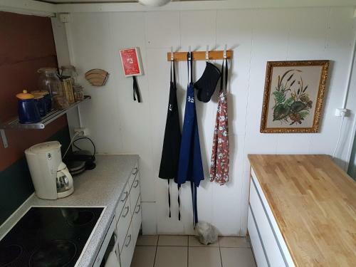 Bed & Breakfast Guesthouse Gamli B�r