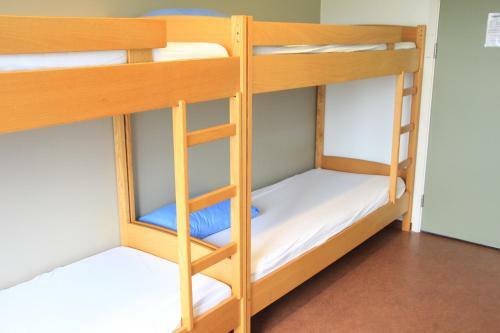 Lava Hostel