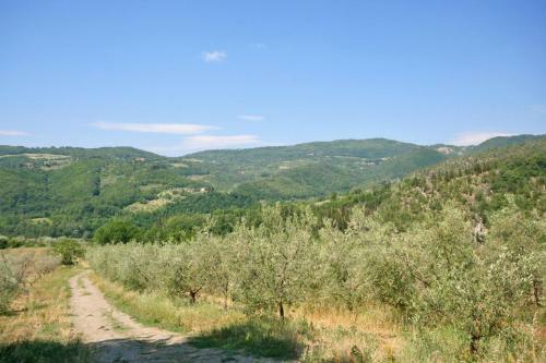 Rufina Apartment Sleeps 6