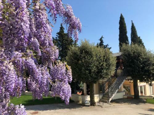 Hotel Villa Del Parco Resort