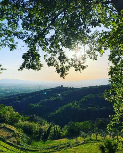 Vdp Luxury Tuscan Villa