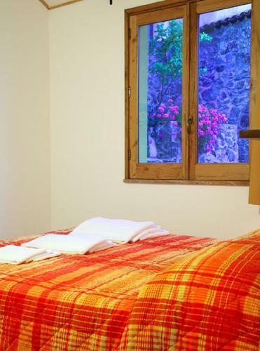 Apartment- Limone
