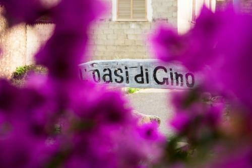 Hostal Affittacamere L ' Oasi Di Gino