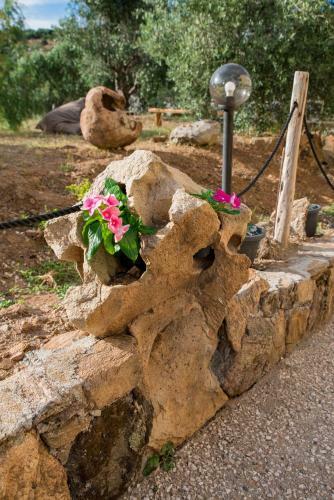 Hostal Affittacamere L ' Oasi Di Gino