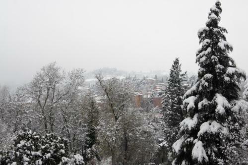 B&B Villa Brizzi