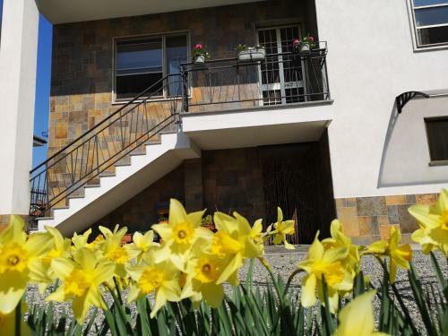 Hostal Villa Fiorita