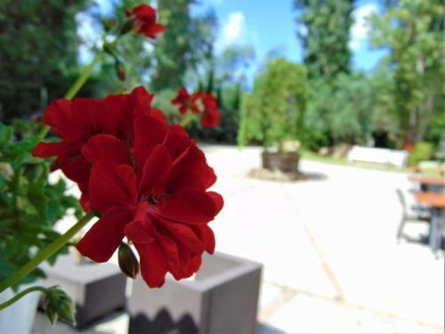 Bed & Breakfast Casale Rurale
