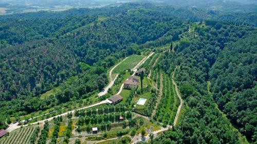Villa Germagnana 14