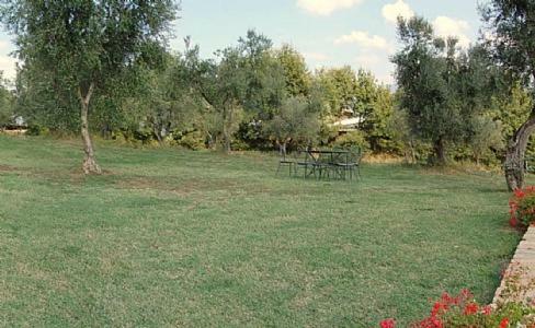 San Polo Villa Sleeps 8 Pool